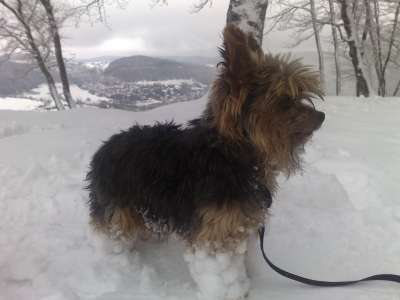 Blacky1